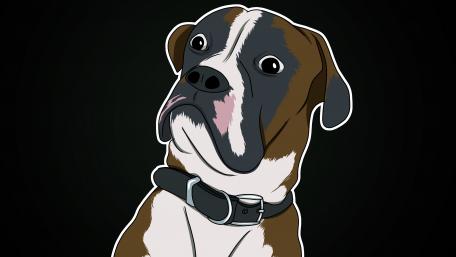 Wonderment dog wallpaper