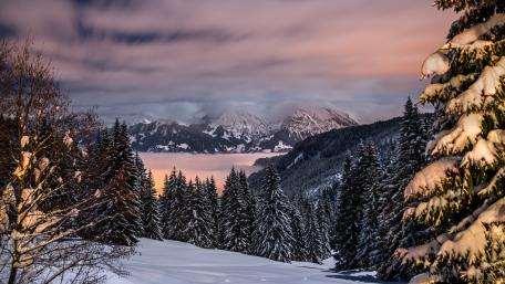Winter Wilderness Serenity in Snowy Mountains wallpaper