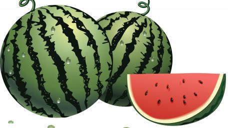 Watermelon illustration wallpaper