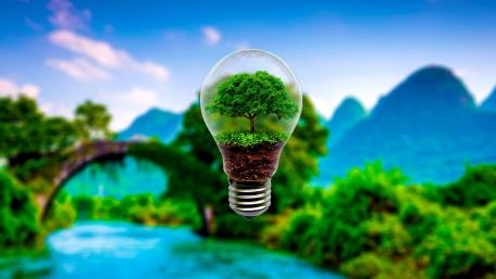 Tree in a light bulb wallpaper