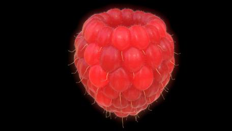 Vibrant Raspberry Beauty in 4K Quality wallpaper