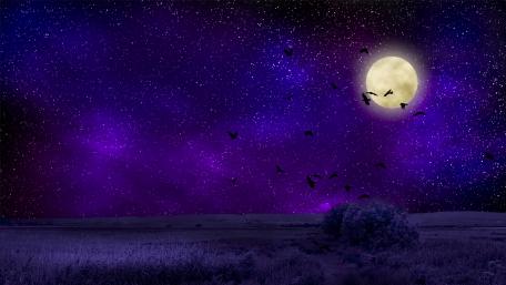 Purple night wallpaper