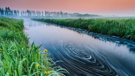 Misty dawn wallpaper