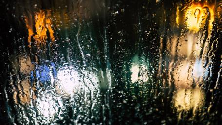 Due to Rain wallpaper