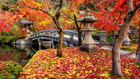 Eikando Shrine Torii and bridge (Zenrinji Temple) wallpaper