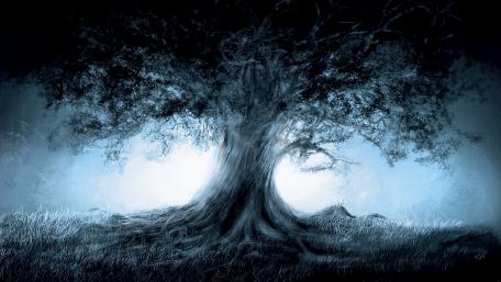 Tree of life wallpaper