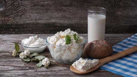 Delicious Dairy Creations for Every Palate wallpaper