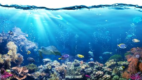 Ocean scene wallpaper