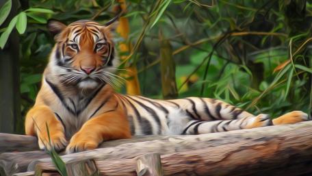 Tiger painting filter photo effect wallpaper