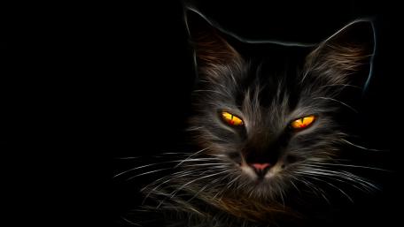 Glowing cat eyes wallpaper
