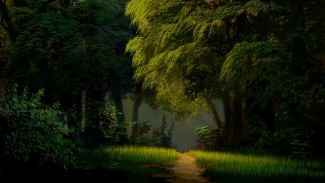 Forest path painting wallpaper