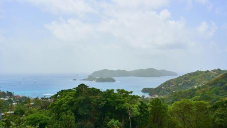 Little Tobago wallpaper