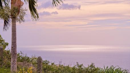 Sunset in Tobago wallpaper