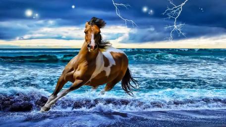 Running horse wallpaper