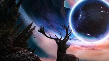 Vision of a deer wallpaper