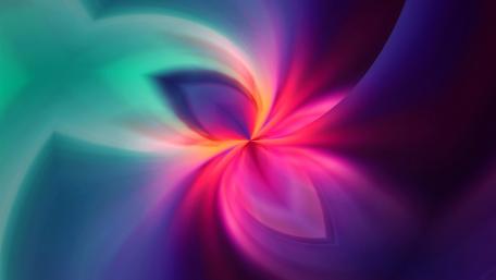 Radiant Petal Illusions wallpaper