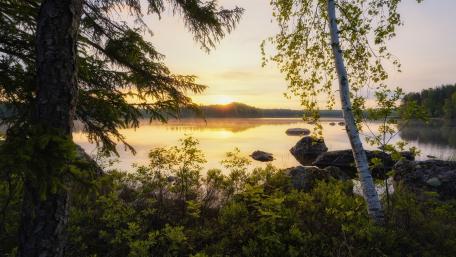 Serene Lakeside Sunrise Scene wallpaper