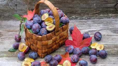 Basket of plum wallpaper