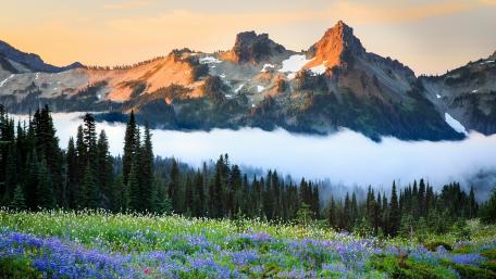 Tatoosh Range wallpaper