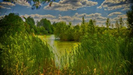 Serene Bayou Oasis in Greenery wallpaper