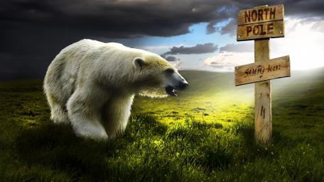 Far from North Pole wallpaper