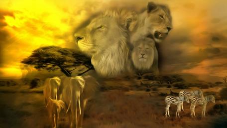 Majestic Wildlife in Harmony wallpaper