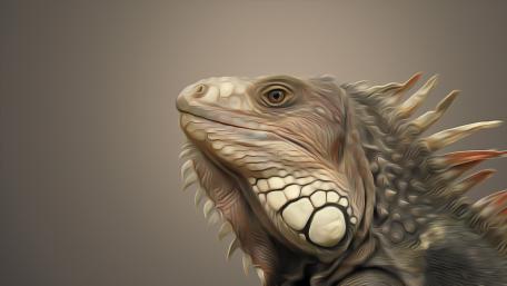 Iguana painting art wallpaper