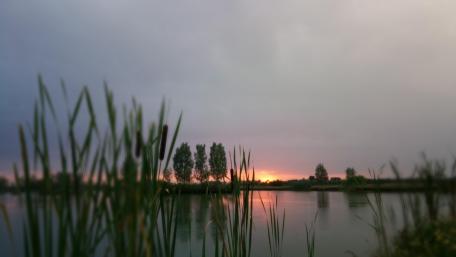 Sunset wallpaper