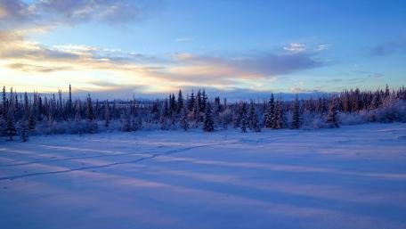 Denali National Park (Alaska) wallpaper