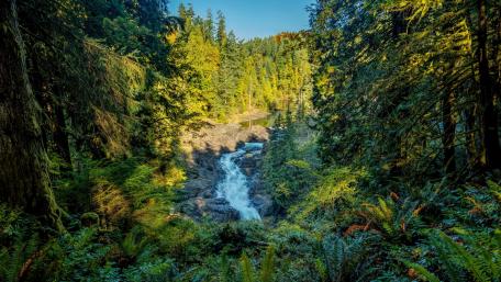 Vancouver Island wallpaper