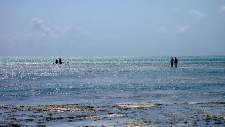 Tranquil Ocean Serenity wallpaper