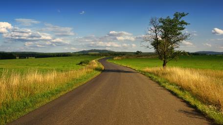 Endless road with a lone tree wallpaper