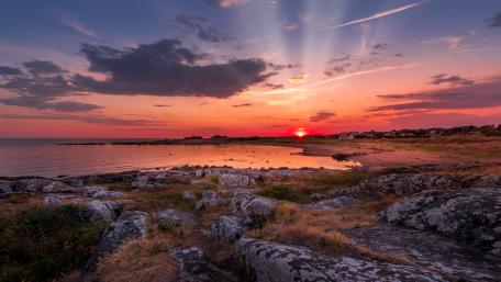 Pink sunset from the shore wallpaper