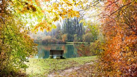 A Bench at the lakeside wallpaper