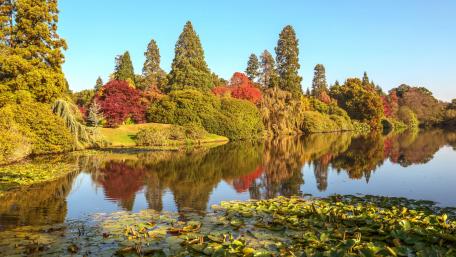 Sheffield Park and Garden (England) wallpaper