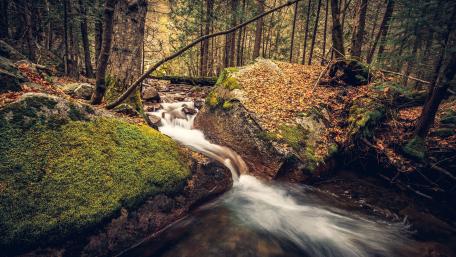 Creek among the mossy crags wallpaper