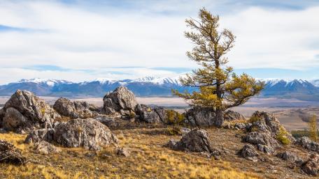 Altai Mountains wallpaper