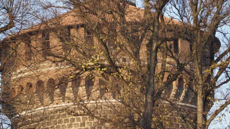 Ancient Tower Amidst Nature's Embrace wallpaper