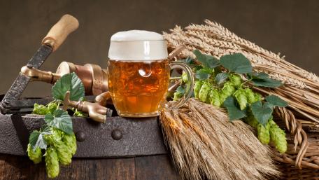 Golden Brew and Nature's Bounty wallpaper