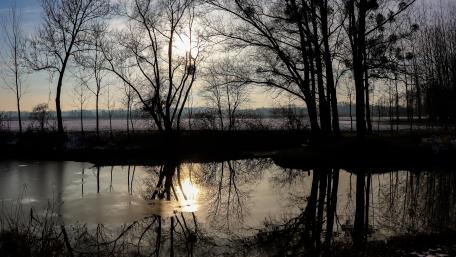 Winter sun wallpaper
