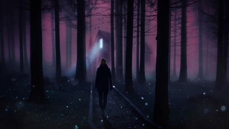 Firebugs in the dark forest wallpaper