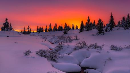 Winter Wonderland at Sunrise wallpaper