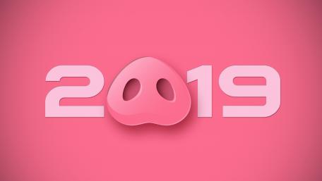 2019 Pig snout wallpaper