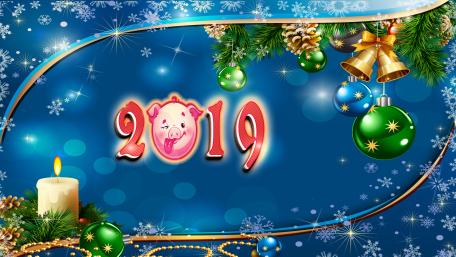 The year of pig - 2019 wallpaper