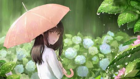 Enjoy the rainy season wallpaper