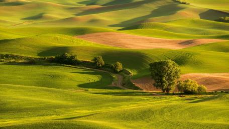 Rolling green hills wallpaper