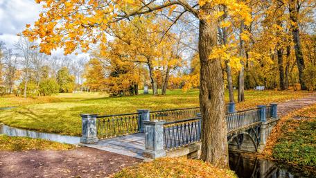 Autumn Footbridge in a Serene Park wallpaper