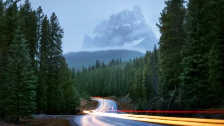 Serene Road Through Enchanted Forest wallpaper