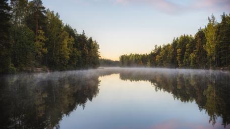 Serene Morning Mist Over Calm Waters wallpaper