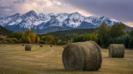 Hay bales wallpaper